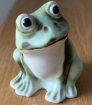 Green Frog - Matt