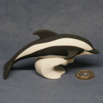 S120 - Diving Hourglass Dolphin