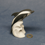S118 - Leaping Hourglass Dolphin