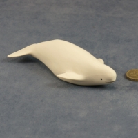 Beluga Whale - Small