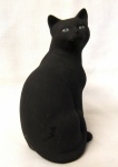 S148 - Short Haired Black Inquisitive Cat
