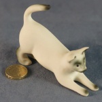 S080 - Playing Siamese Cat